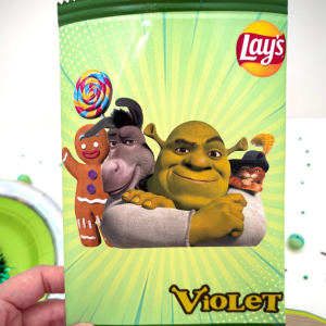 shrek chip bags – custom party favors for kids birthday shrek snack bags empty